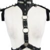 harness_nieten4