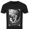 tarotshirt_strength