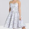 hlb40167-birdcage-50s-dress1